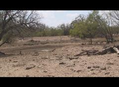 SW Pond from the East the North part.jpg
